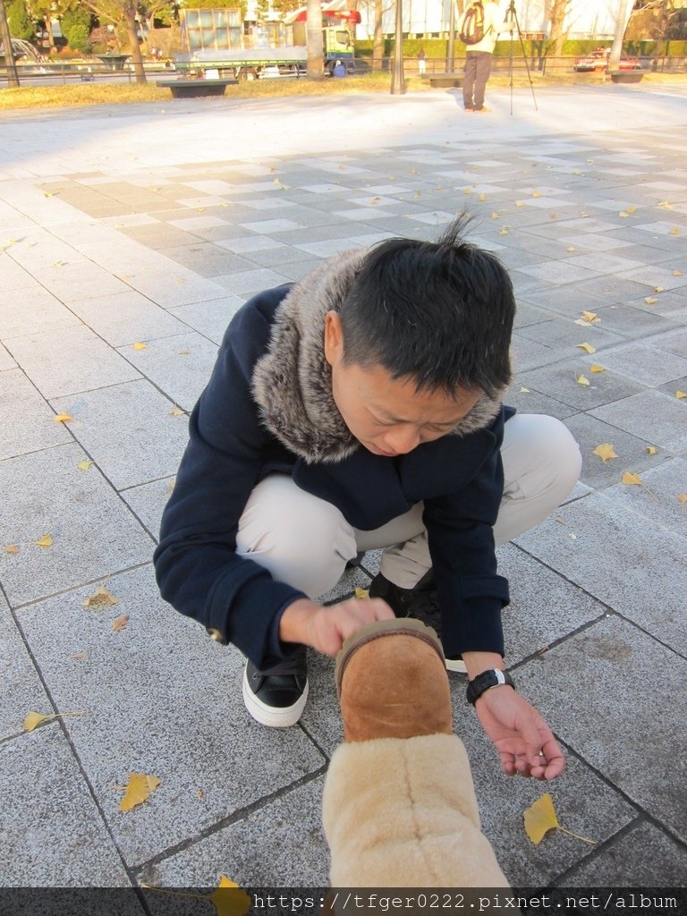 39.jpg