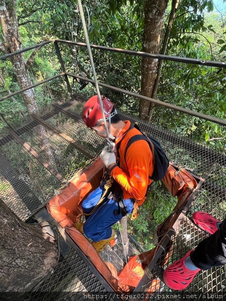 2023泰國清邁蘇梅曼谷慶生之旅~DAY2(上)清邁叢林飛索