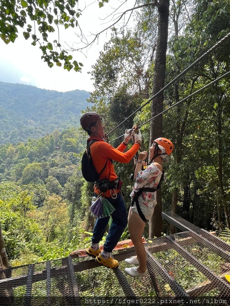 2023泰國清邁蘇梅曼谷慶生之旅~DAY2(上)清邁叢林飛索