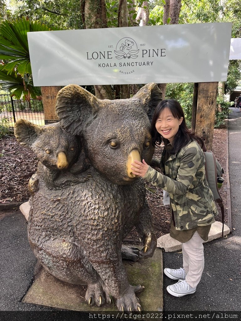 2024東澳洲行Day2(上)：龍柏動物園無尾熊抱抱