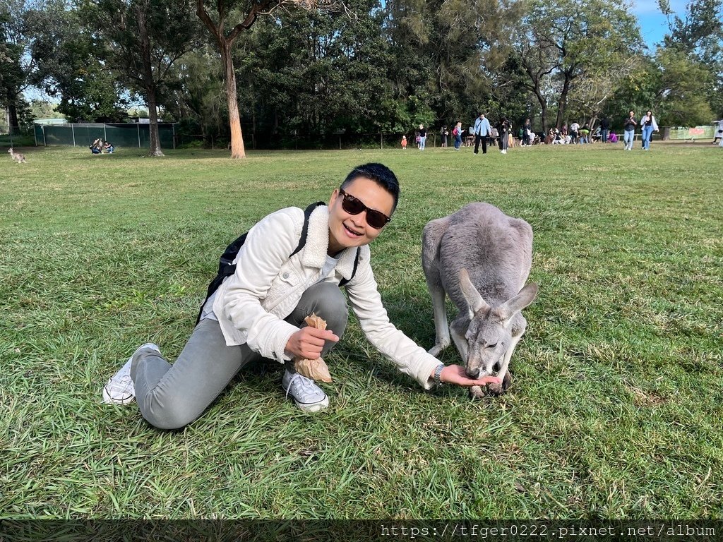 2024東澳洲行Day2(上)：龍柏動物園無尾熊抱抱