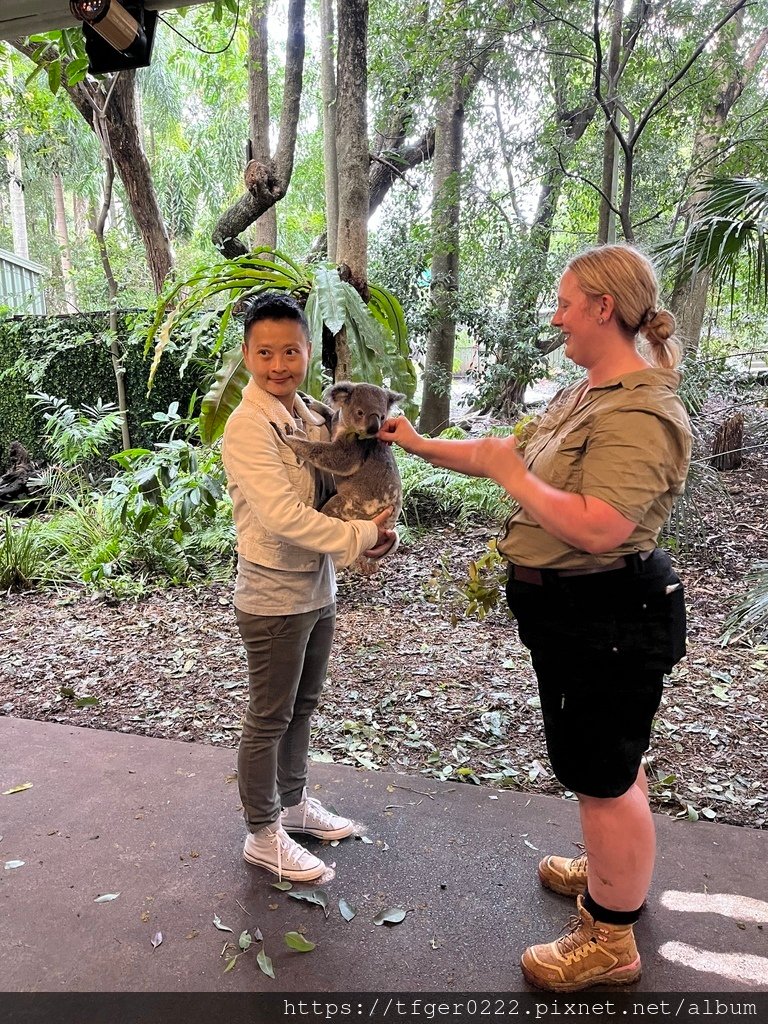 2024東澳洲行Day2(上)：龍柏動物園無尾熊抱抱