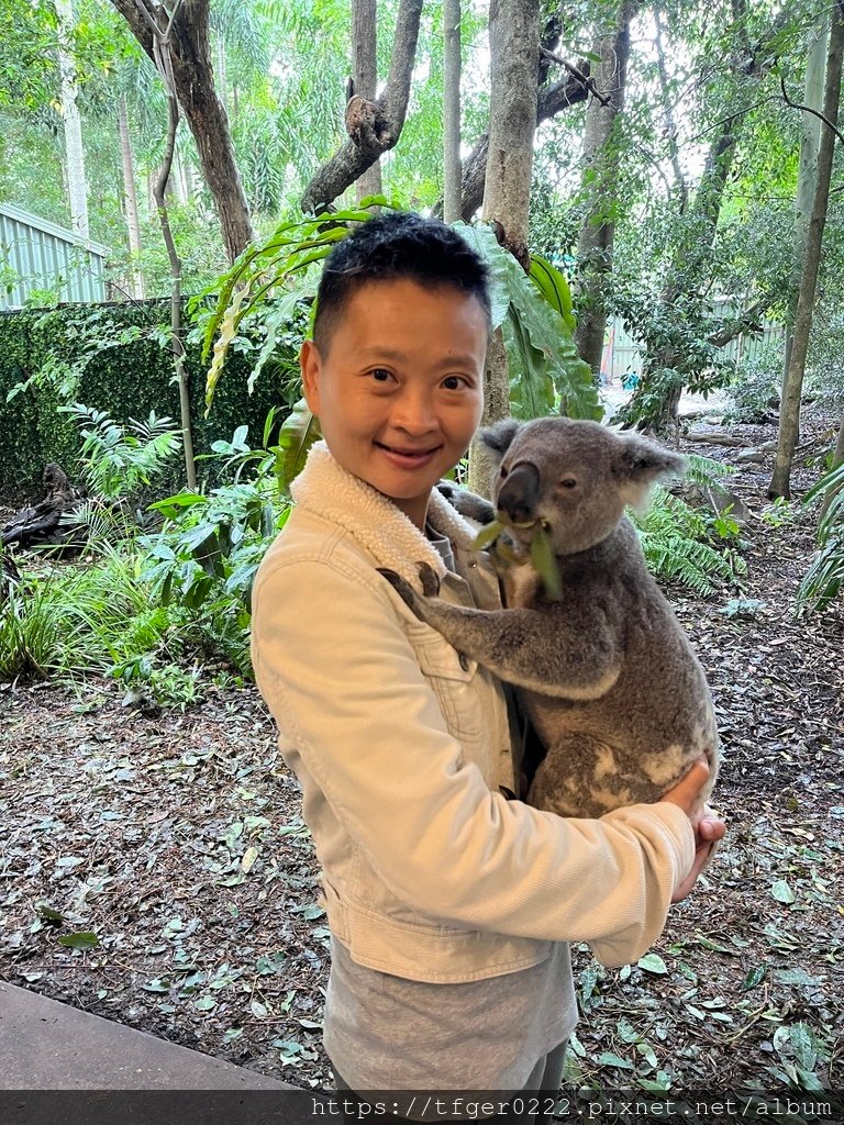 2024東澳洲行Day2(上)：龍柏動物園無尾熊抱抱