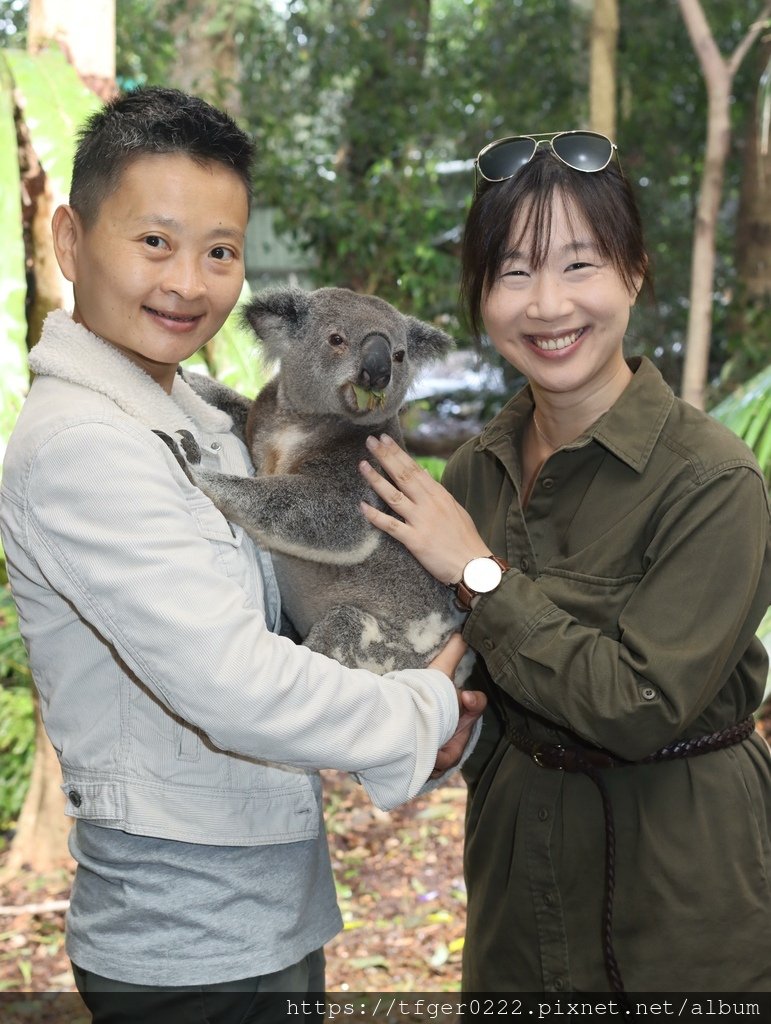 2024東澳洲行Day2(上)：龍柏動物園無尾熊抱抱