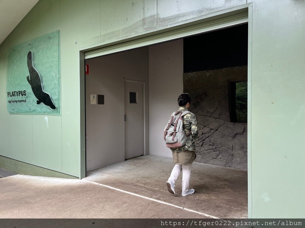 2024東澳洲行Day2(下)：龍柏動物園+布里斯本巡禮