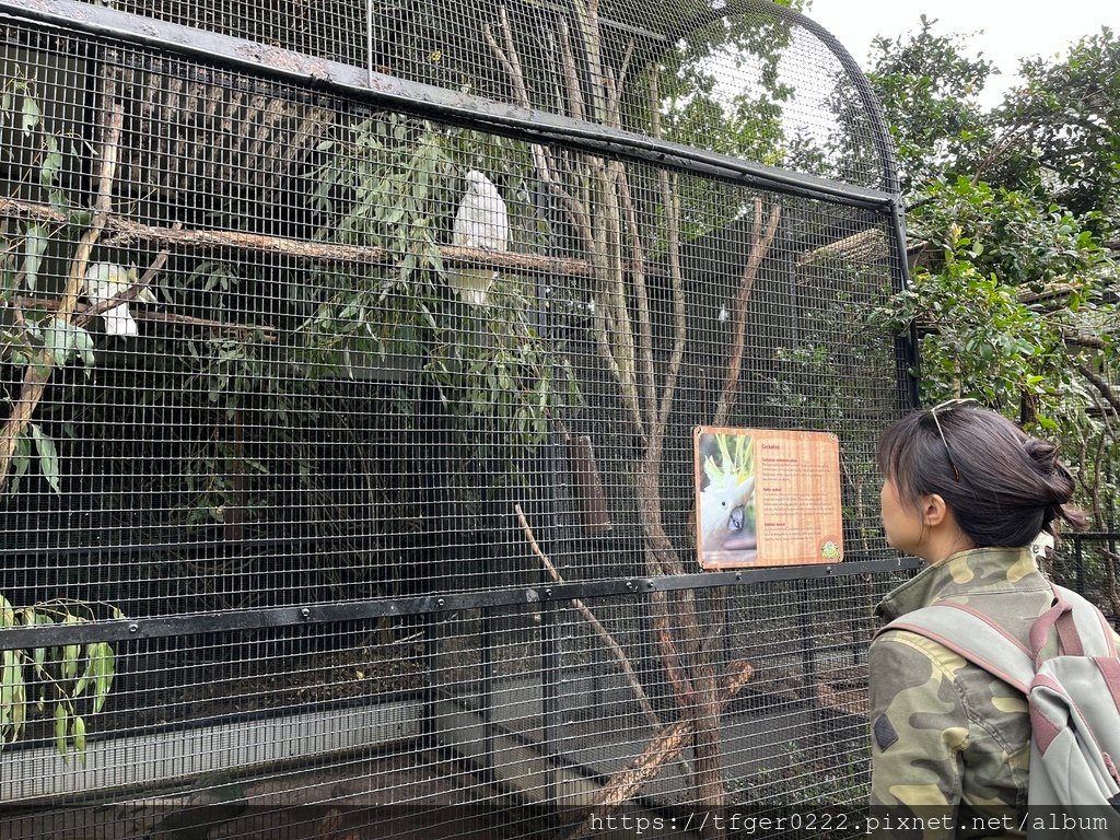 2024東澳洲行Day2(下)：龍柏動物園+布里斯本巡禮