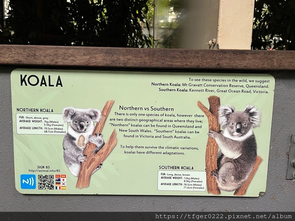 2024東澳洲行Day2(下)：龍柏動物園+布里斯本巡禮