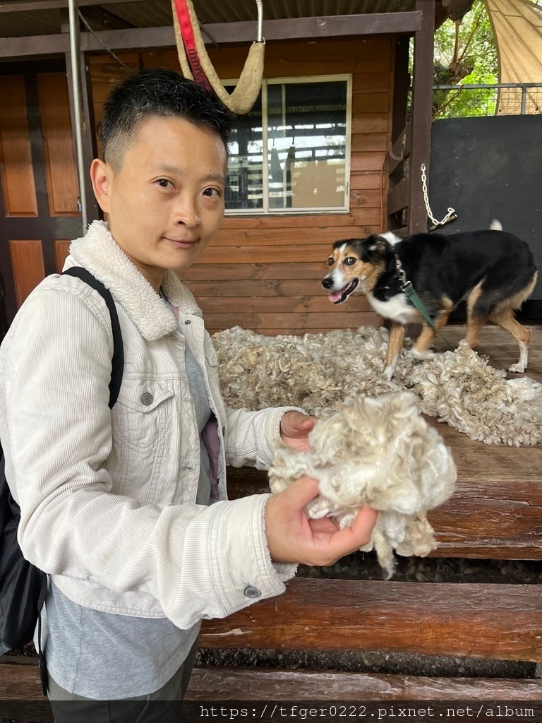 2024東澳洲行Day2(下)：龍柏動物園+布里斯本巡禮