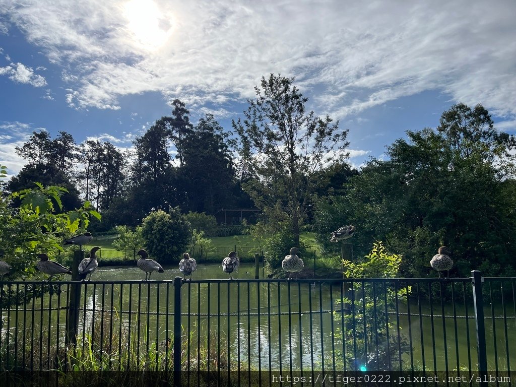 2024東澳洲行Day2(下)：龍柏動物園+布里斯本巡禮