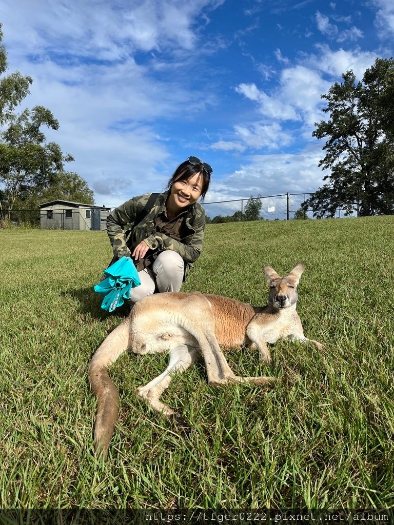 2024東澳洲行Day2(下)：龍柏動物園+布里斯本巡禮