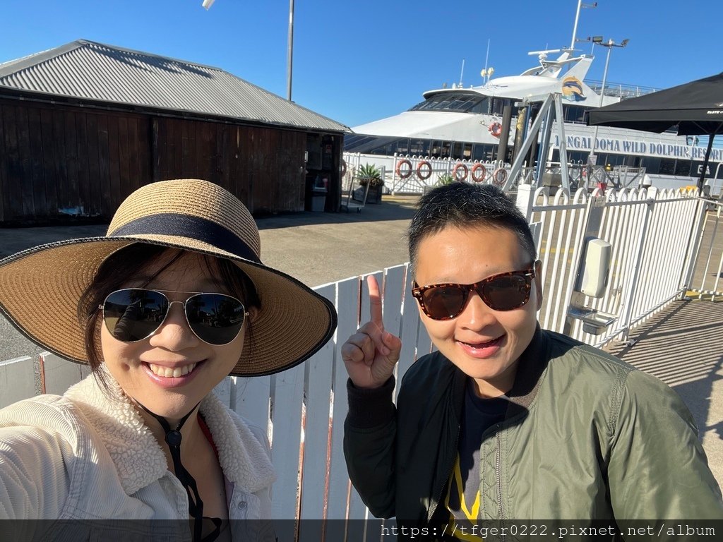 2024東澳洲行Day3：摩頓島滑沙+餵食野生海豚之旅