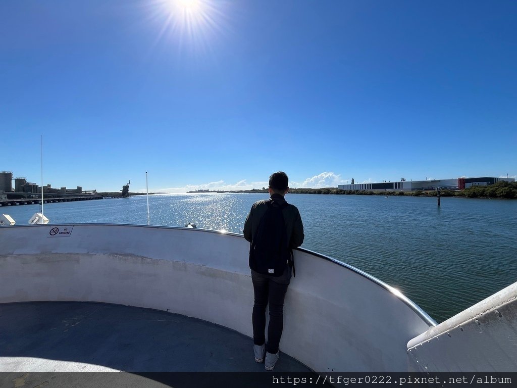 2024東澳洲行Day3：摩頓島滑沙+餵食野生海豚之旅