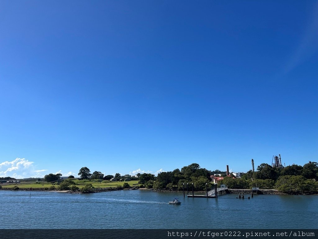 2024東澳洲行Day3：摩頓島滑沙+餵食野生海豚之旅