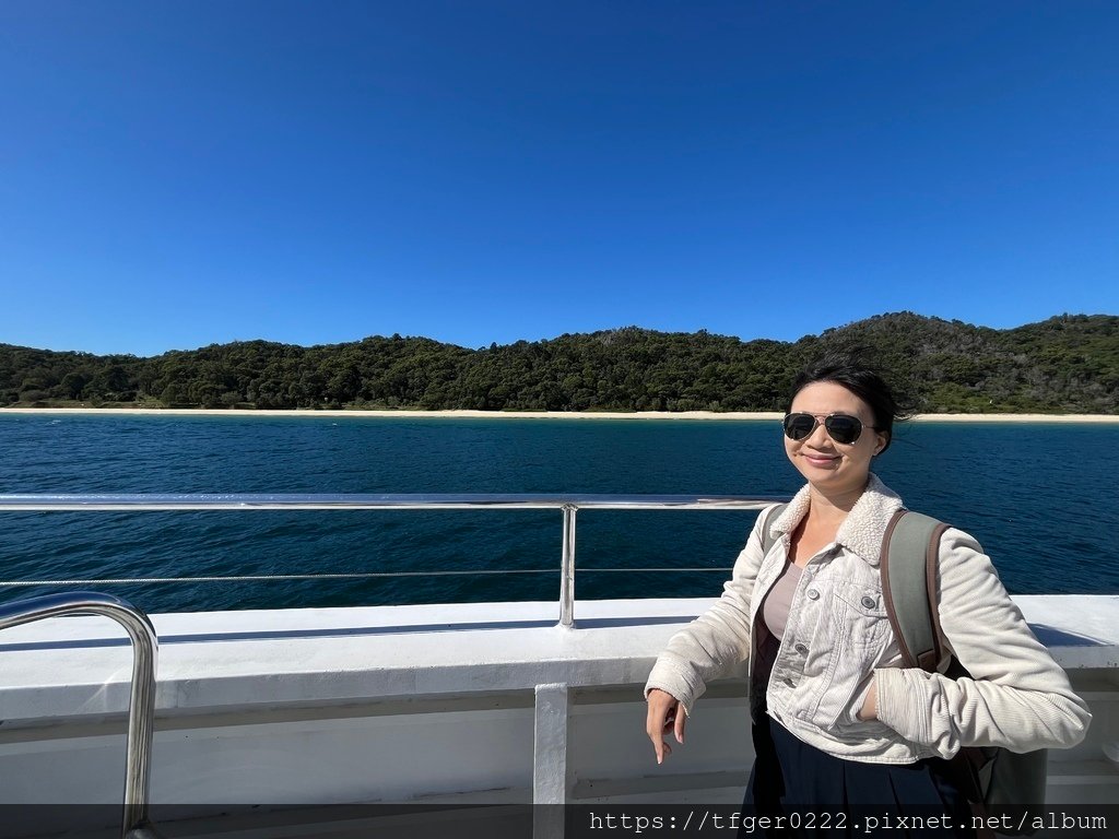 2024東澳洲行Day3：摩頓島滑沙+餵食野生海豚之旅