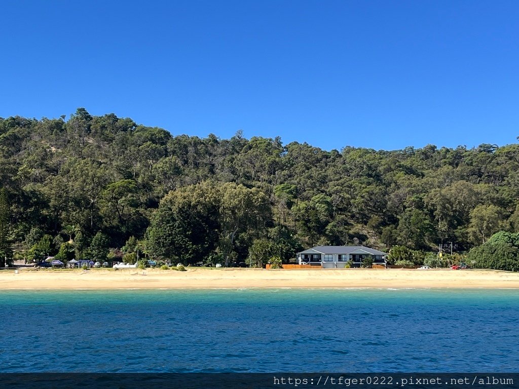 2024東澳洲行Day3：摩頓島滑沙+餵食野生海豚之旅