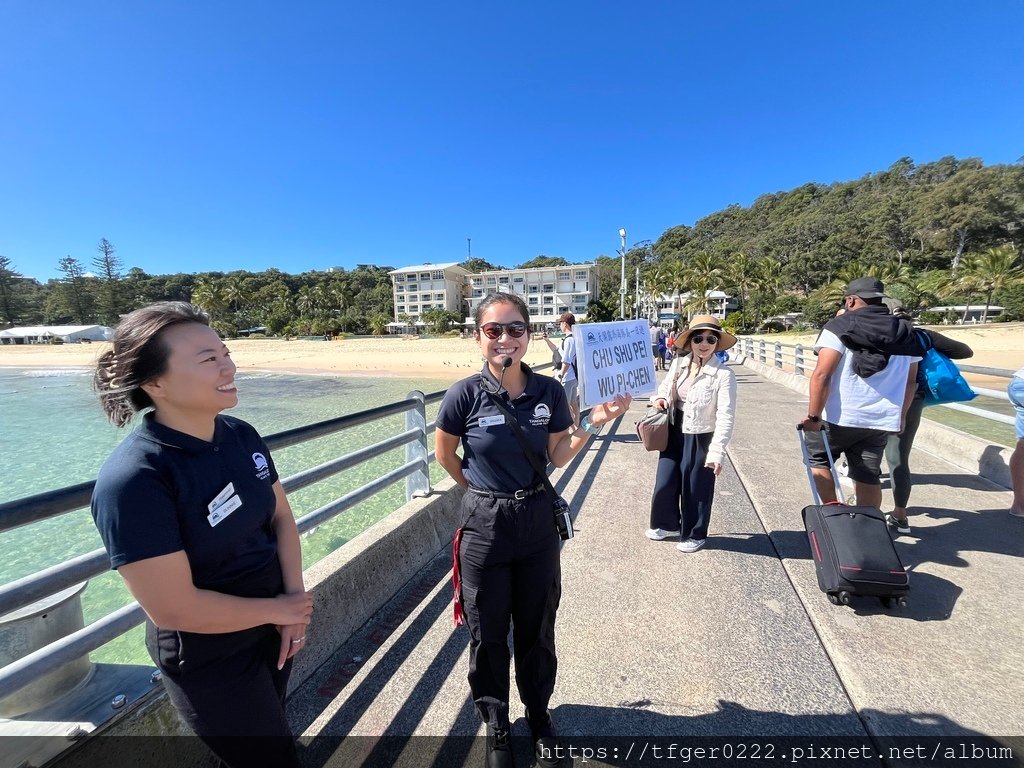 2024東澳洲行Day3：摩頓島滑沙+餵食野生海豚之旅