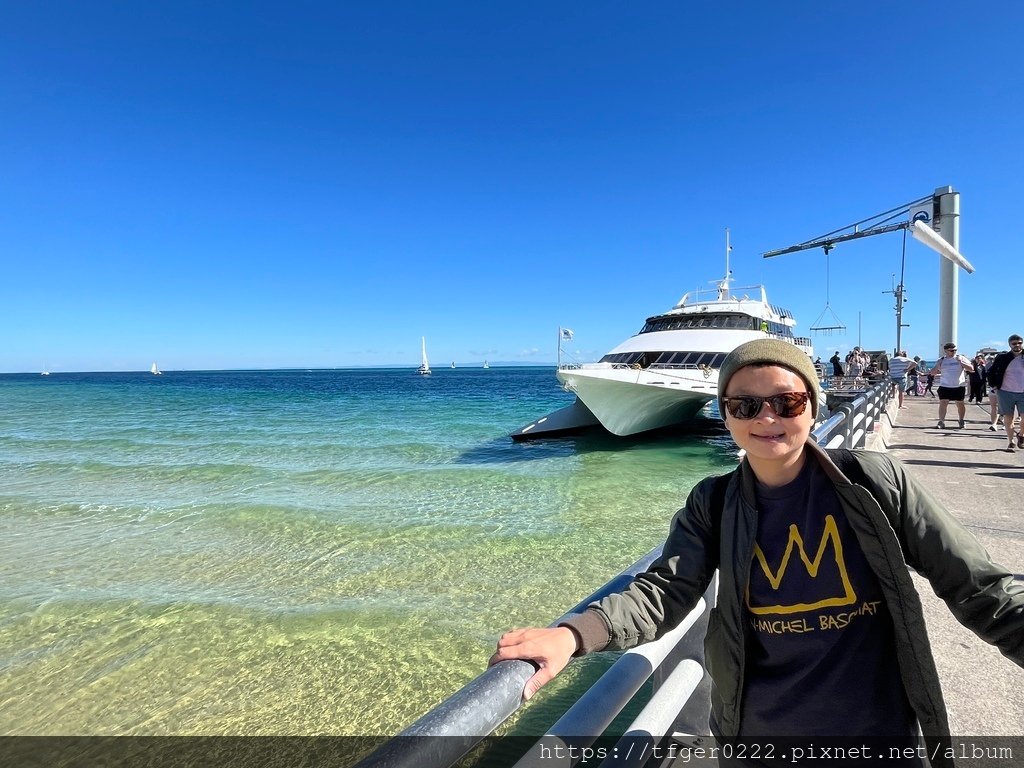 2024東澳洲行Day3：摩頓島滑沙+餵食野生海豚之旅