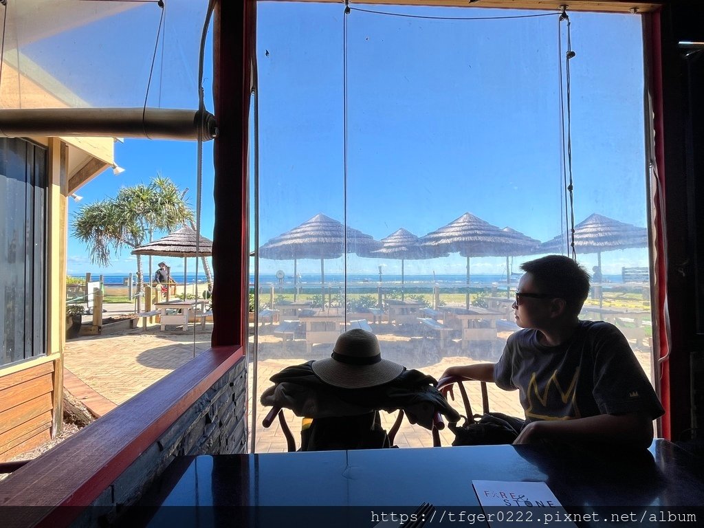 2024東澳洲行Day3：摩頓島滑沙+餵食野生海豚之旅