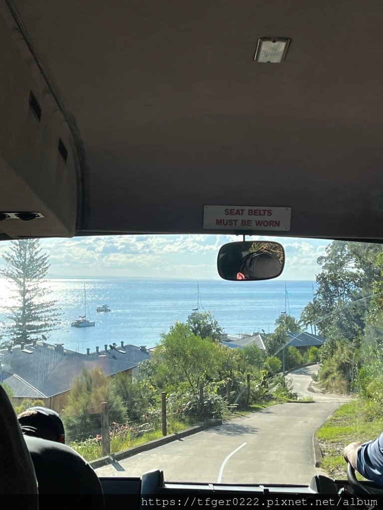 2024東澳洲行Day3：摩頓島滑沙+餵食野生海豚之旅