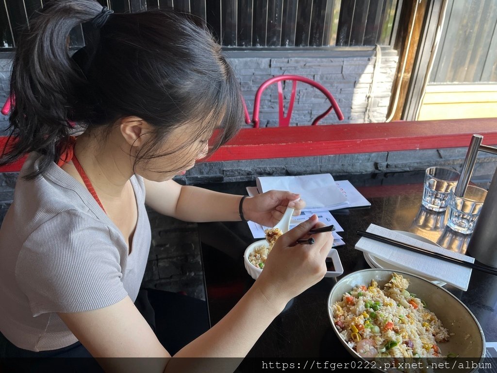 2024東澳洲行Day3：摩頓島滑沙+餵食野生海豚之旅