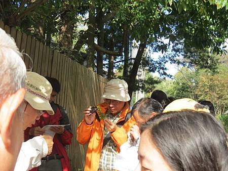 IMG_2942.JPG