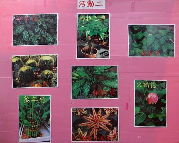 植物園活動二.jpg