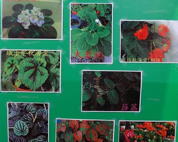 植物園活動三.jpg