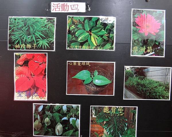 植物園活動四 (2).jpg