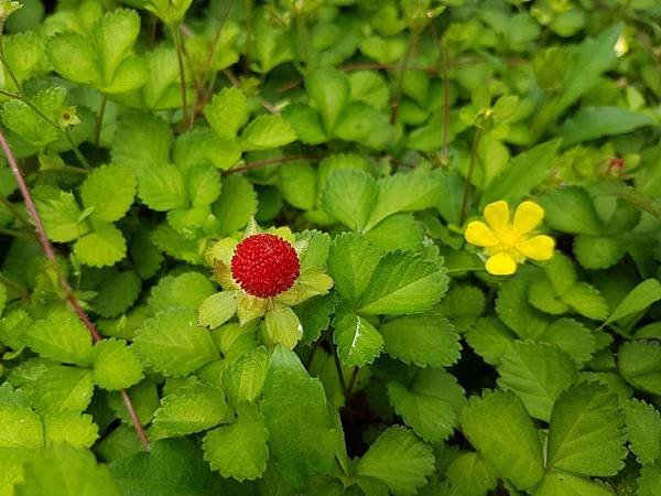 20180422值勤_180606_0042.jpg