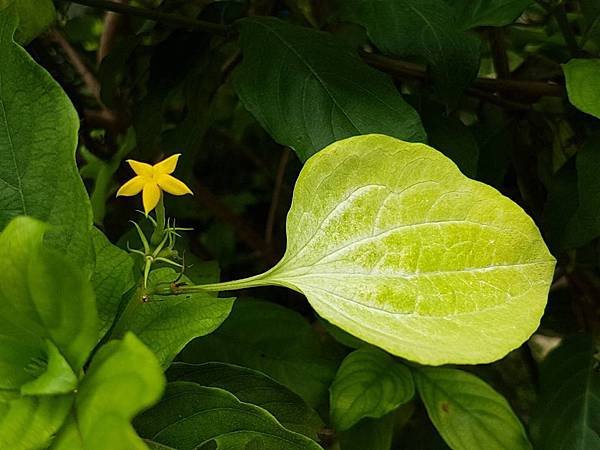 20180422值勤_180606_0044.jpg