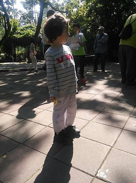20191117 上午 菊科_191119_0011.jpg