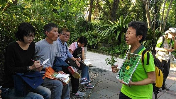 20191117 下午 菊科_191119_0027.jpg
