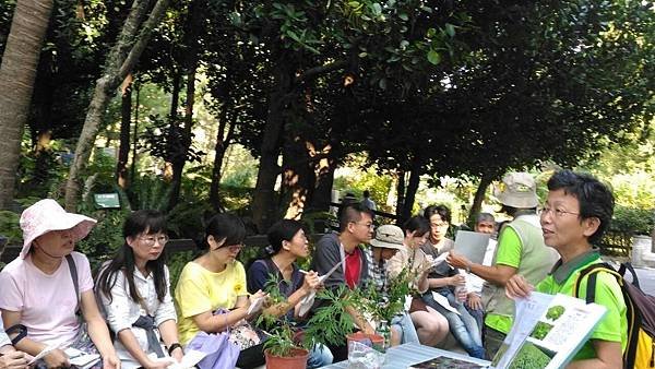 20191117 下午 菊科_191119_0071.jpg