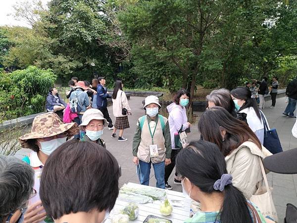 20201213十字花科_210104_7.jpg