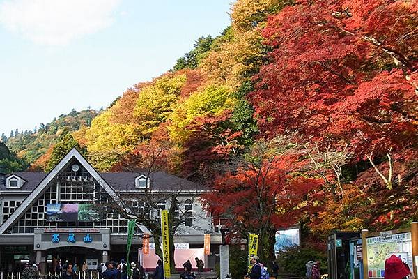 高尾山楓葉季.jpg