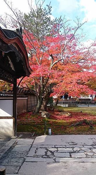 高台寺.jpg