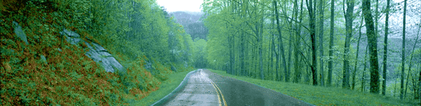 road_s.gif