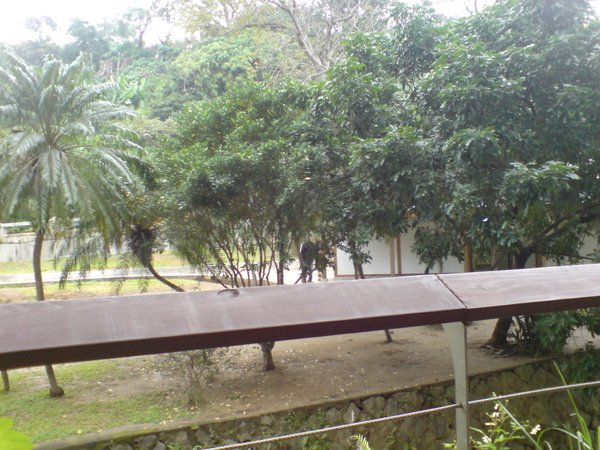 DSC00828.JPG