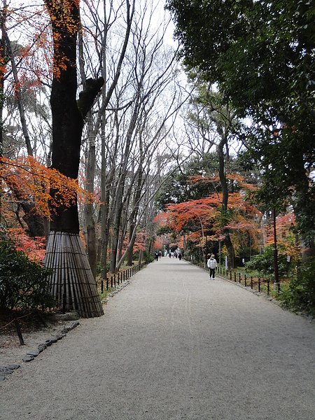 DSC01889.JPG