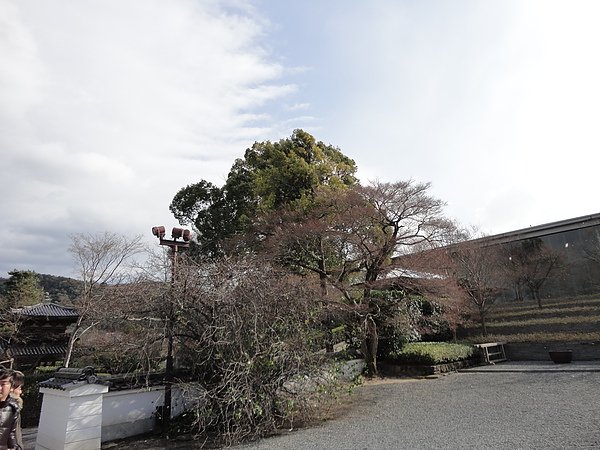 DSC01970.JPG