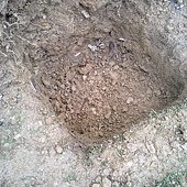 20120211942.jpg