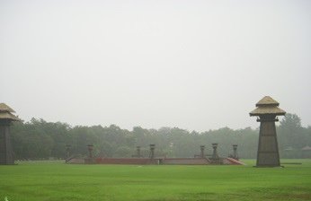 227651164_x