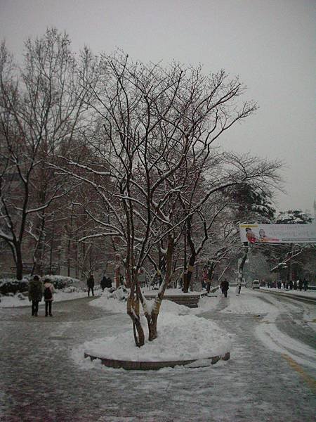 DSCN2689.JPG