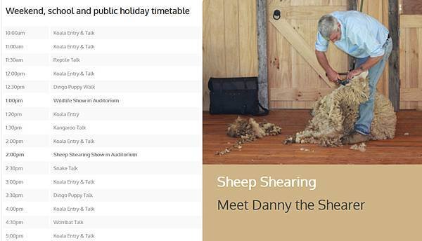 Sheep Shearing.jpg