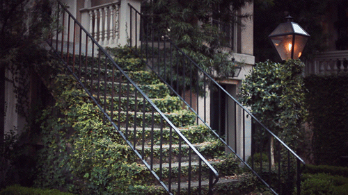 cinemagraphs-15.gif