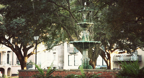 cinemagraphs-16.gif