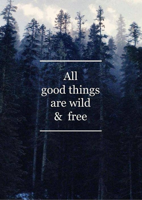 Free
