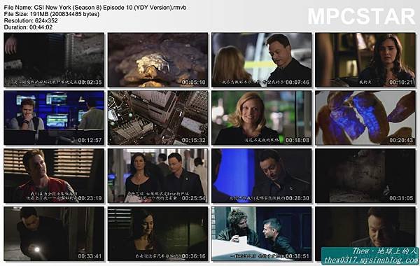 CSI New York (Season 8) Episode 10 (YDY Version)_20120110-18054976.jpg