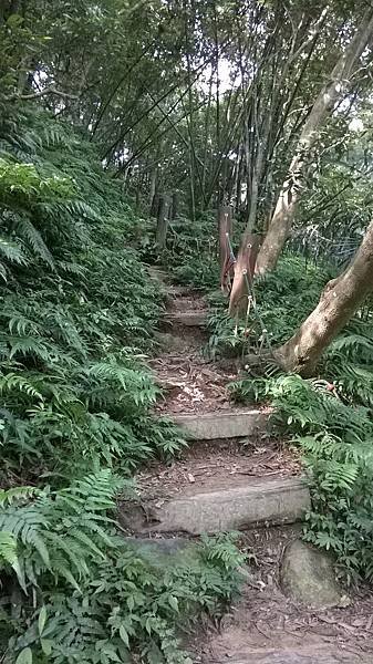 WP_20140913_002.jpg