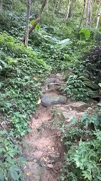 WP_20140913_006.jpg